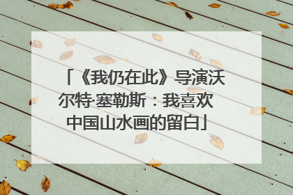 《我仍在此》导演沃尔特·塞勒斯：我喜欢中国山水画的留白