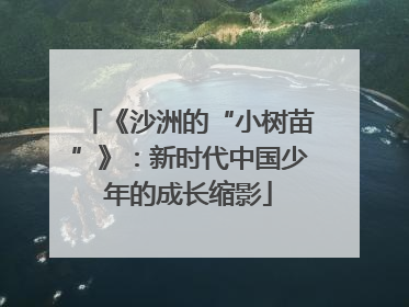 《沙洲的“小树苗”》：新时代中国少年的成长缩影