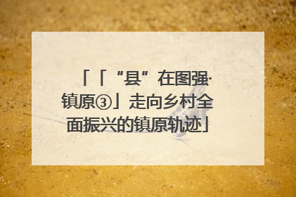 「“县”在图强·镇原③」走向乡村全面振兴的镇原轨迹