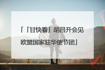 「甘快看」胡昌升会见欧盟国家驻华使节团