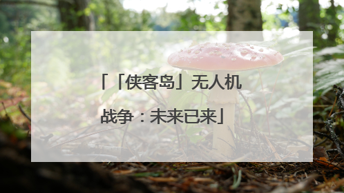 「侠客岛」无人机战争：未来已来