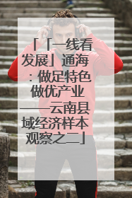 「一线看发展」通海：做足特色 做优产业——云南县域经济样本观察之二