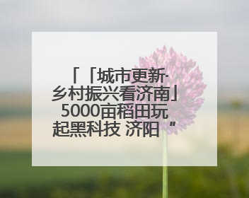 「城市更新· 乡村振兴看济南」5000亩稻田玩起黑科技 济阳“黄河·稻乡湾”靠“非遗+露营”火出圈