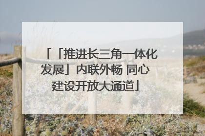 「推进长三角一体化发展」内联外畅 同心建设开放大通道