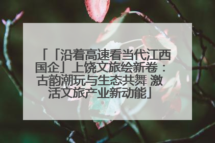 「沿着高速看当代江西国企」上饶文旅绘新卷：古韵潮玩与生态共舞 激活文旅产业新动能