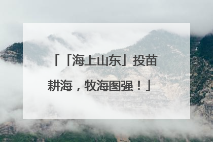 「海上山东」投苗耕海，牧海图强！