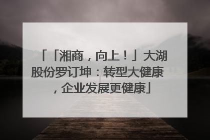 「湘商，向上！」大湖股份罗订坤：转型大健康，企业发展更健康