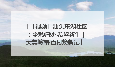「视频」汕头东湖社区：乡愁归处 希望新生｜大美岭南·百村焕新记