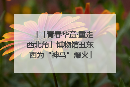 「青春华章·重走西北角」博物馆丑东西为“神马”爆火