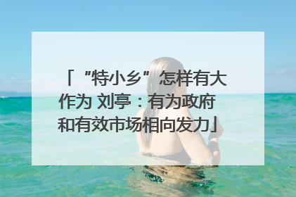 “特小乡”怎样有大作为 刘亭：有为政府和有效市场相向发力