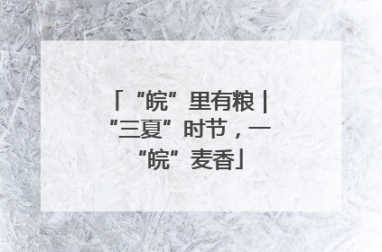 “皖”里有粮｜“三夏”时节，一“皖”麦香