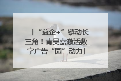 “益企+”链动长三角！青吴嘉激活数字广告“园”动力