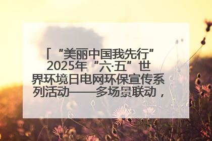 “美丽中国我先行” 2025年“六·五”世界环境日电网环保宣传系列活动——多场景联动，共筑生态发展新图景