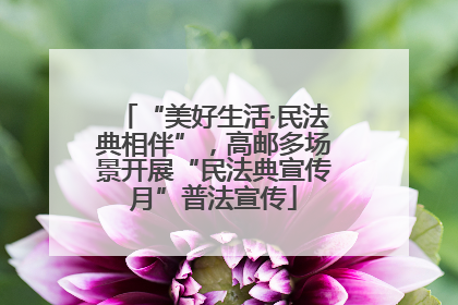“美好生活·民法典相伴”，高邮多场景开展“民法典宣传月”普法宣传