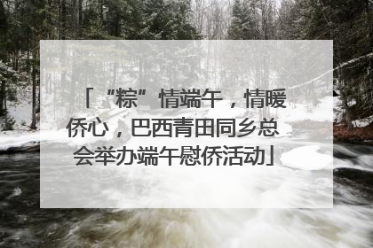 “粽”情端午，情暖侨心，巴西青田同乡总会举办端午慰侨活动