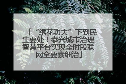 “绣花功夫”下到民生要处！泰兴城市治理智慧平台实现全时段联网全要素细治
