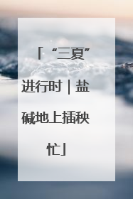 “三夏”进行时｜盐碱地上插秧忙