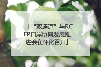 “双通道”与RCEP口岸协同发展推进会在怀化召开