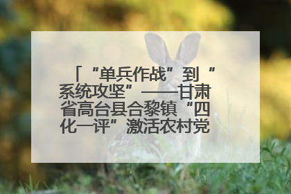“单兵作战”到“系统攻坚”——甘肃省高台县合黎镇“四化一评”激活农村党员管理新引擎