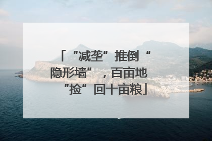“减垄”推倒“隐形墙”，百亩地“捡”回十亩粮