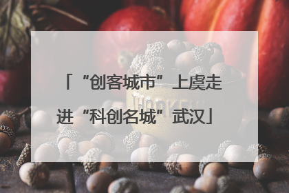 “创客城市”上虞走进“科创名城”武汉
