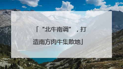 “北牛南调”，打造南方肉牛集散地