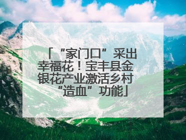 “家门口”采出幸福花！宝丰县金银花产业激活乡村“造血”功能