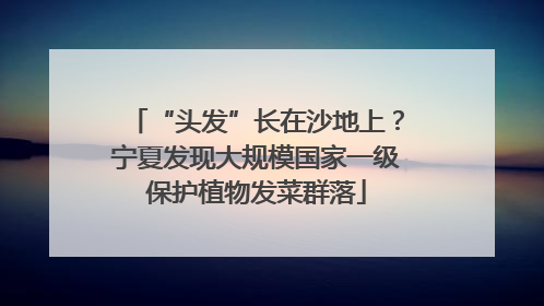“头发”长在沙地上？宁夏发现大规模国家一级保护植物发菜群落