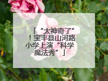 “太神奇了”！宝丰县山河路小学上演“科学魔法秀”