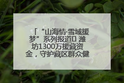 “山海情·雪域援梦”系列报道⑪ 潍坊1300万援藏资金，守护藏区群众健康“最后一公里”