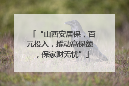 “山西安居保，百元投入，撬动高保额，保家财无忧”