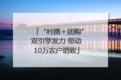 “村播＋团购”双引擎发力 带动10万农户增收