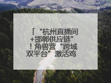 “杭州直播间+邯郸供应链”！角兽营“跨域双平台”激活鸡泽产业新动能