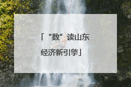 “数”读山东经济新引擎