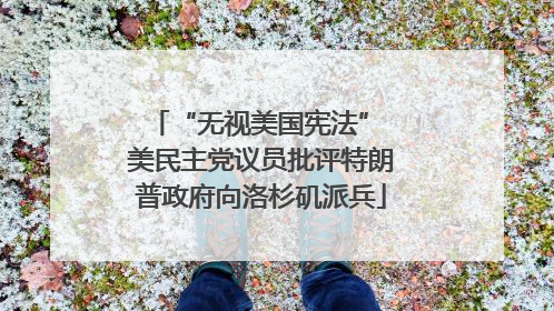 “无视美国宪法” 美民主党议员批评特朗普政府向洛杉矶派兵