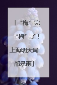 “梅”完“梅”了！上海明天局部暴雨