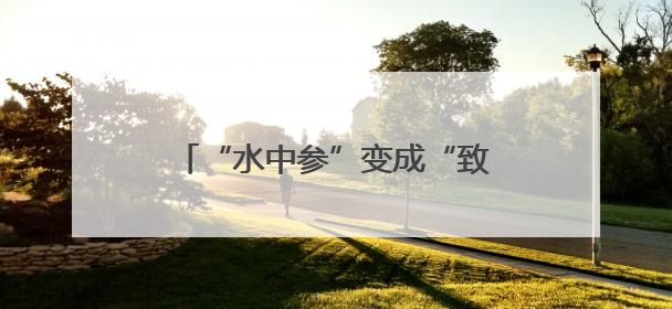 “水中参”变成“致富宝” 南漳八泉村千亩茭白喜获丰收