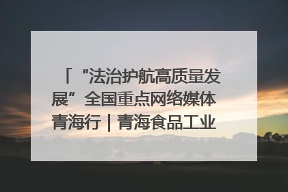 “法治护航高质量发展”全国重点网络媒体青海行｜青海食品工业协会：架起“青字号”美食的产业化桥梁