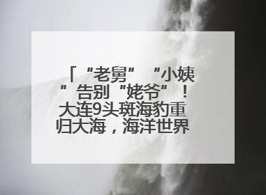“老舅”“小姨”告别“姥爷”！大连9头斑海豹重归大海，海洋世界：它们已具备野外生存能力