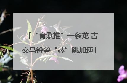 “育繁推”一条龙 古交马铃薯“芯”跳加速