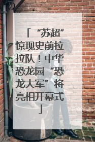 “苏超”惊现史前拉拉队！中华恐龙园“恐龙大军”将亮相开幕式