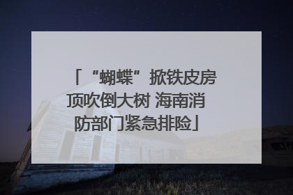 “蝴蝶”掀铁皮房顶吹倒大树 海南消防部门紧急排险