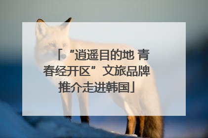 “逍遥目的地 青春经开区”文旅品牌推介走进韩国