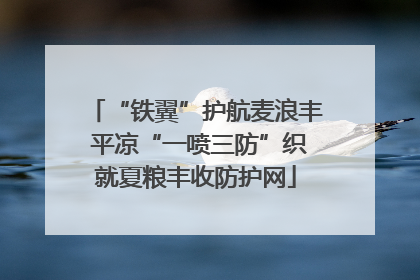 “铁翼”护航麦浪丰 平凉“一喷三防”织就夏粮丰收防护网