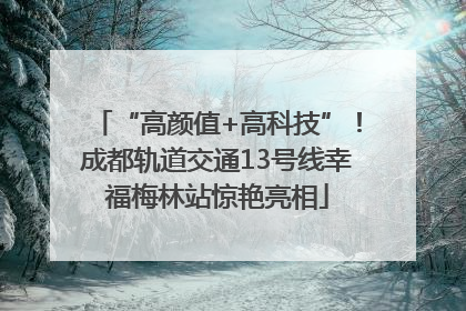 “高颜值+高科技”！成都轨道交通13号线幸福梅林站惊艳亮相