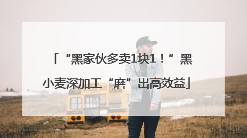 “黑家伙多卖1块1！”黑小麦深加工“磨”出高效益