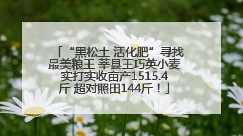 “黑松土 活化肥”寻找最美粮王 莘县王巧英小麦实打实收亩产1515.4斤 超对照田144斤！