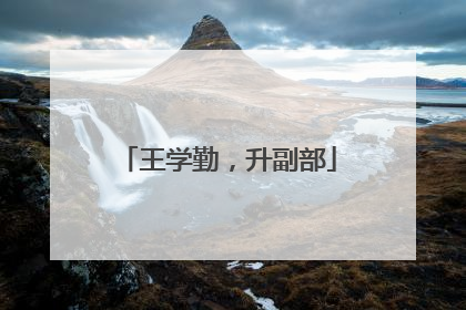 王学勤，升副部