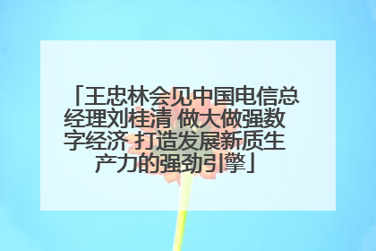 王忠林会见中国电信总经理刘桂清 做大做强数字经济 打造发展新质生产力的强劲引擎