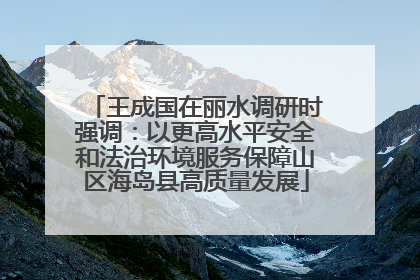 王成国在丽水调研时强调：以更高水平安全和法治环境服务保障山区海岛县高质量发展